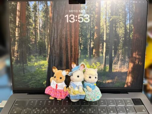 MontereyからSequoiaにアップグレード方法不具合