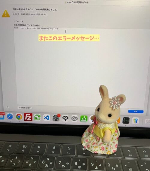 OS再インストールエラーSOCD report detected