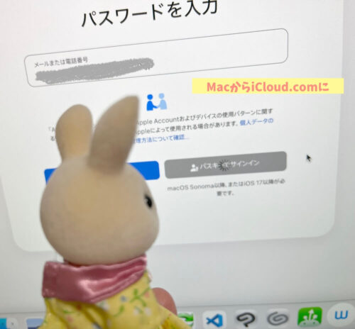 iPadAir2初期化アクティベーションロック解除できない