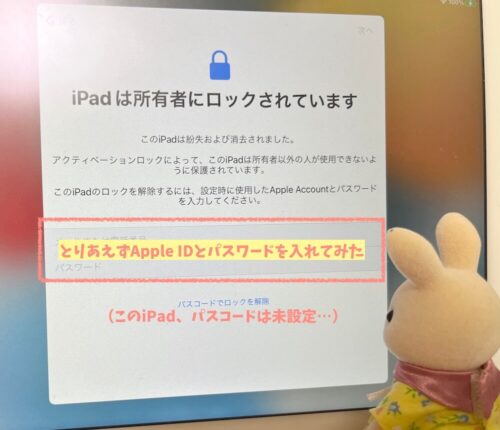 iPadは所有者にロックされています解除対処法