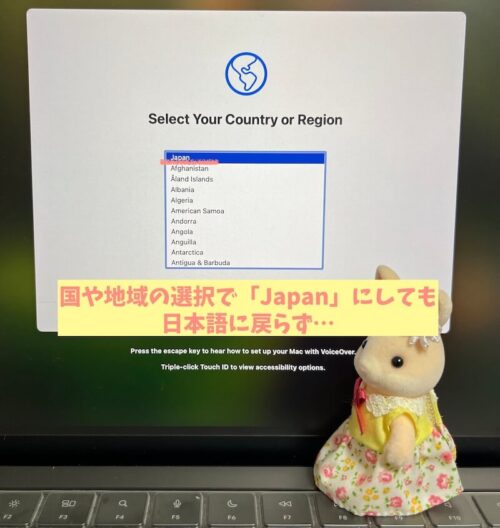 M1MacBookPro消去アシスタント日本語にならない